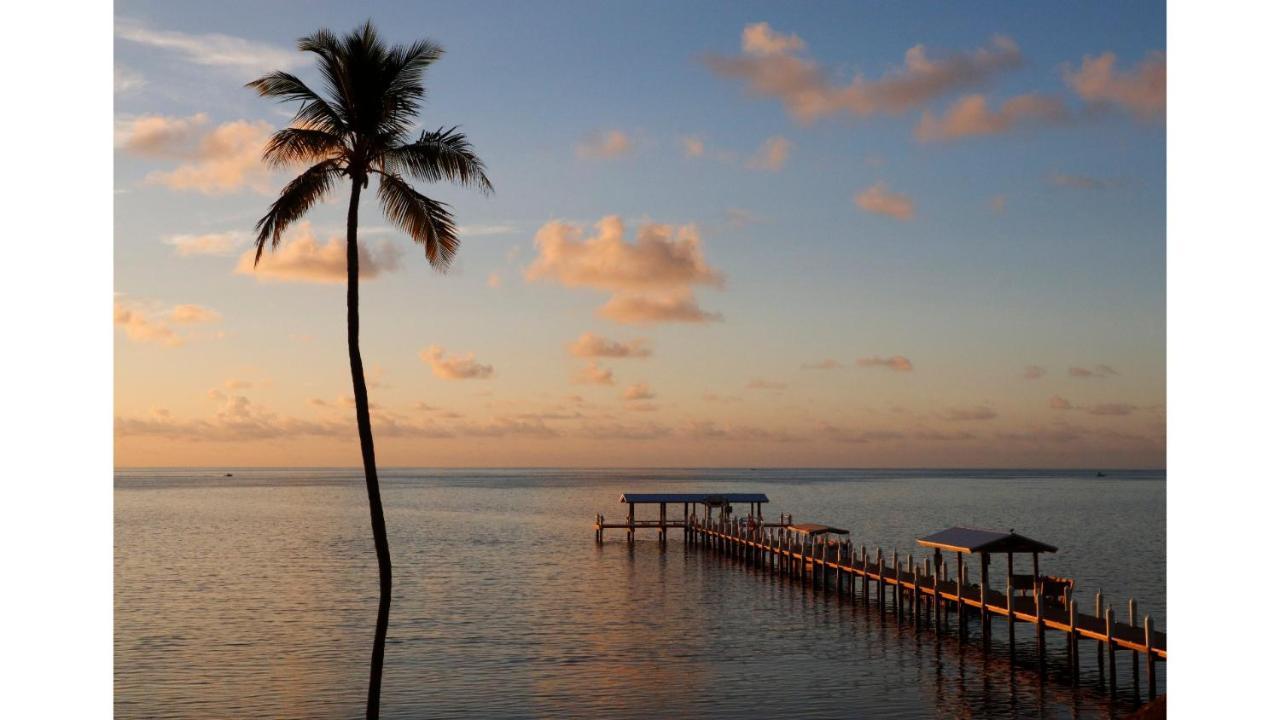 Cheeca Lodge & Spa Islamorada Ngoại thất bức ảnh Sunset at the pier